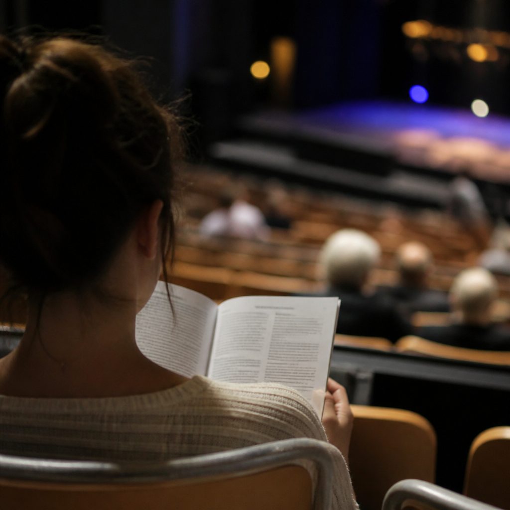 Les temps de la saison : Saison culturelle et spectacles a Cagnes-sur-Mer : comment la suivre